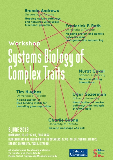 http://www.denizcemonduygu.com/files/gimgs/th-17_sbioposter.jpg