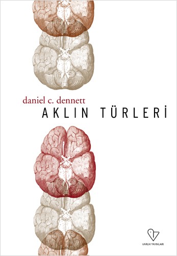 http://www.denizcemonduygu.com/files/gimgs/th-29_29_aklinturleri5.jpg