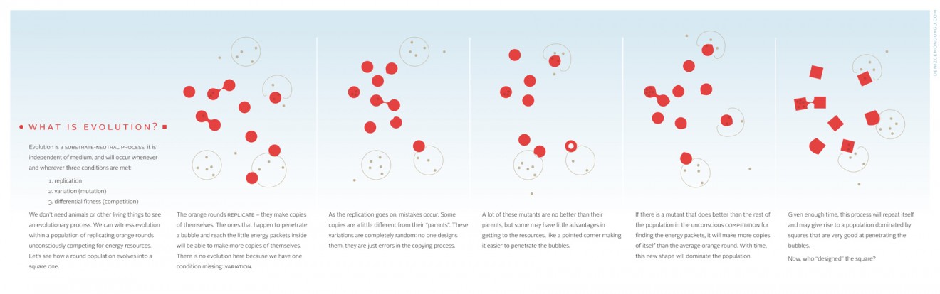 evolution_eng